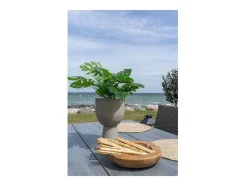 House Nordic Decoratieobject Voor Binnen-Amalfi Bloeiwijze O19Cm Zandkleurig.