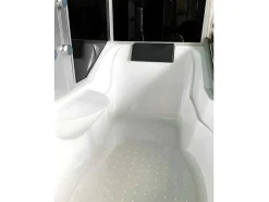 ELITESHOPPING Massagebad-Baignoire-Douche Hydromassagehoek Chromotherapie 170 X 90 Cm - Raven