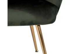Vente-unique Fauteuil Met Holle Rugleuning-Dano Fauteuil Lounge Fauteuil Groen, Messing.