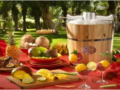 Vente-unique Klein Huishoudelijk Apparaat-Elektrische Sorbetmaker Givreto Van Hout 5.5L