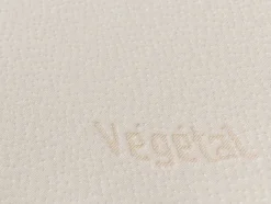 DODO Hoofdkussen-Ergonomisch Hoofdkussen Met Vormgeheugen Vegetal 60 X 60 Cm