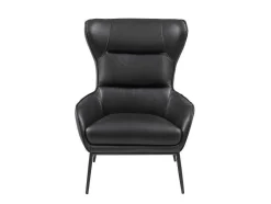 LINEA SOFA Fauteuil Leer-Fauteuil Van Zwart Buffelleder Dinnia