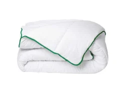 DREAMEA Dekbed-Gematigd Dekbed Met Natuurlijke Antimijtbehandeling Van Van Microvezel - 240 X 260 Cm - 300 G/M - Groene Bies - Azylia Ii