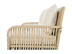 ModernLuxe Hangstoel-Hangstoel In Geweven Hars - Tuinschommel - 2 Plaatsen - Met Kussens - Beige