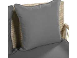 ModernLuxe Hangstoel-Hangstoel In Geweven Hars - Tuinschommel - 2 Plaatsen - Met Kussens - Beige & Grijs