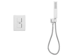 Shower & Design Douchekolom-Inbouw Douche Met Thermostatische Mengkraan - Geborsteld Nikkelkleur - Terek