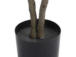 OZAIA Kunstplant-Kunstboom Calathea Met Pot - H150 - Lusake