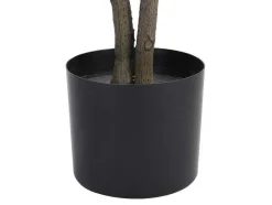 OZAIA Kunstplant-Kunstboom Calathea Met Pot - H150 - Lusake