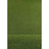RugsX Kunstgras-Kunstgras Havana Select Maat 133X450 Cm