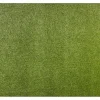 RugsX Kunstgras-Kunstgras Yara Elke Maat 133X1100 Cm