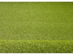 RugsX Kunstgras-Kunstgras Yara Elke Maat 250X300 Cm