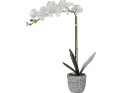 OZAIA Kunstplant-Kunstorchidee Met Pot Van Cement - H60 - Wit - Flora