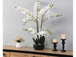 OZAIA Kunstplant-Kunstorchidee Met Pot Van Cement - H65 X B54 Cm - Wit - Tara