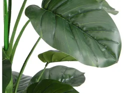 OZAIA Kunstplant-Kunstplant Taro Met Pot - H160 - Groen - Baja