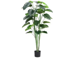 OZAIA Kunstplant-Kunstplant Taro Met Pot - H160 - Groen - Baja