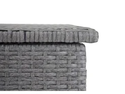 Vente-unique Tuinopslag-Kussenbox Van Polyrattan Mcw-D88 Iii, Basic Grijs, 51X115X59Cm 250L