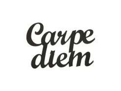 EPIKASA Decoratieve Wandplaat-Metalen Decoratie Carpediem, Zwart, 50X1,5X38 Cm,