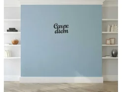 EPIKASA Decoratieve Wandplaat-Metalen Decoratie Carpediem, Zwart, 50X1,5X38 Cm,