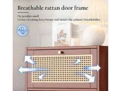 ModernLuxe Schoenenkast-Multifunctioneel Rotan Opbergmeubel - 1 Lade En 3 Vakken - Bruin