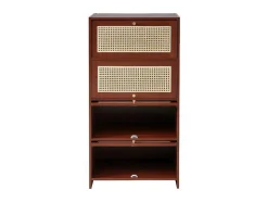 ModernLuxe Schoenenkast-Multifunctioneel Rotan Opbergmeubel - 1 Lade En 3 Vakken - Bruin