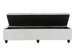 Vente-unique Kleine Opberger En Slaapkameraccessoire-Opbergkist Arezzo Xxl, Wit