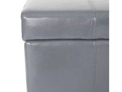 Vente-unique Kleine Opberger En Slaapkameraccessoire-Opbergkist Kriens, Grijs