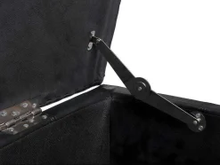 Vente-unique Kleine Opberger En Slaapkameraccessoire-Opbergkist Kriens, Zwart