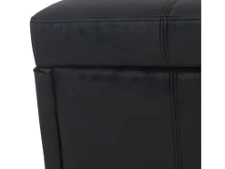 Vente-unique Kleine Opberger En Slaapkameraccessoire-Opbergkist Kriens, Zwart Mat