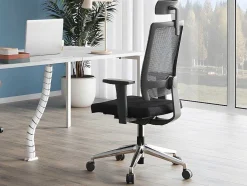Workēa Bureaustoel-Professionele Ergonomische Bureaustoel - Met Hoofdsteun - Stof - Zwart - Wallstreet