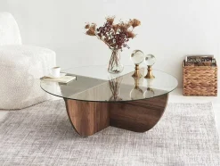 Vente-unique Salontafel-Salontafel Van Gehard Glas - Naturel En Transparant - Aysun