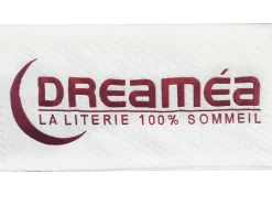 DREAMEA Matras Voor Slaapbank-Schuimmatras 120X 190Cm Met Memory Foam Voor Slaapbank Dikte 14Cm - Crony Van
