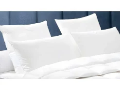DODO Dekbed-Set Dekbed Natuurlijk 240 X 260 Cm + 2 Hoofdkussens Dons Baffin 65 X 65 Cm