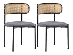 ModernLuxe Stoel-Set Van 2 Fluwelen En Rotan Stoelen - Metalen Poten - Grijs