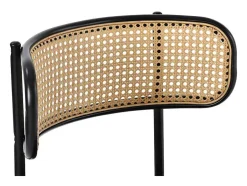 ModernLuxe Stoel-Set Van 2 Fluwelen En Rotan Stoelen - Metalen Poten - Grijs