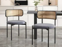 ModernLuxe Stoel-Set Van 2 Fluwelen En Rotan Stoelen - Metalen Poten - Grijs