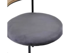 ModernLuxe Stoel-Set Van 2 Fluwelen En Rotan Stoelen - Metalen Poten - Grijs