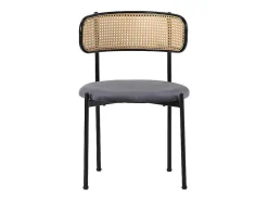 ModernLuxe Stoel-Set Van 2 Fluwelen En Rotan Stoelen - Metalen Poten - Grijs