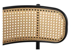 ModernLuxe Stoel-Set Van 2 Fluwelen En Rotan Stoelen - Metalen Poten - Zwart