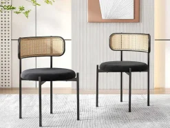 ModernLuxe Stoel-Set Van 2 Fluwelen En Rotan Stoelen - Metalen Poten - Zwart