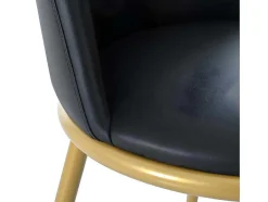 ModernLuxe Stoel-Set Van 4 Fluwelen Gestoffeerde Stoelen Met Rugleuning - Goudkleurige Metalen Structuur - Zwart