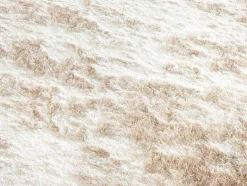 OZAIA Woonkamertapijt-Shaggy Langpolig, Zacht Vloerkleed - 200 X 290 Cm - Beige - Dolce