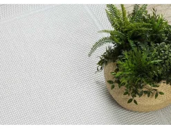 RugsX Tapijt Voor Buiten-Sisal Tapijt Timo 5979 Buitenshuis Kader Wit 60X100 Cm