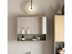 Sobuy Muurkast Badkamer-Badkamerwandkast Met Spiegel, Wandgemonteerd Wastafelmeubel, Opbergkast Met 2 Deuren, Open Vak En Verstelbare Planken, 60 X 20 X 49,5 Cm, Grijs, Bzr134-Ng