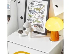 Sobuy Babymeubel-Kmb70-W Speelgoedkist Voor Kinderen, Speelgoed Opbergdoos, Opbergkist Met Scharnierend Deksel, Regenboogdesign, Kinderboekenplank