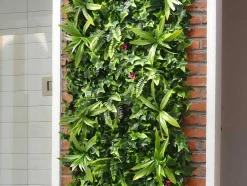 Vente-unique Plantenwand-Synthetische Groene Begroeide Muur - Pakket Van 3M - Ikaz