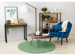 RugsX Tapijt Rond-Tapijt Bunny Rond Groen Imitatie Konijnenvacht Cercle 80 Cm