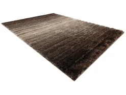 RugsX Tapijt Hoogpolig-Tapijt Shaggy Flim 007-B3 Modern, Strips - Structureel, Bruin 80X150 Cm