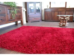 RugsX Tapijt Hoogpolig-Tapijt Shaggy Lilou Rood 160X230 Cm