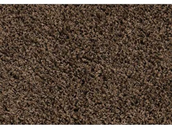 RugsX Tapijt Hoogpolig-Tapijt Soffi Shaggy 5Cm Bruin 160X220 Cm