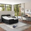 Palacio Elektrisch Relaxatiebed-Tweepersoons Boxspring Met Elektrische Bedbodem + Matras En Dekmatras Castel Van - 2X80X200 Cm - Antraciet
